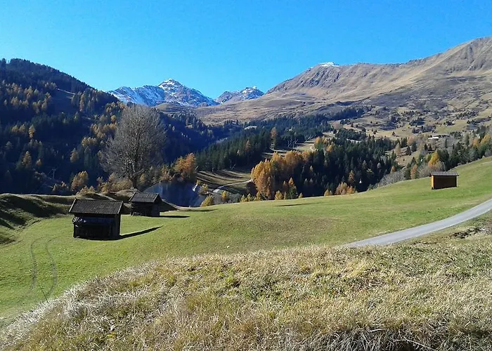 Daisy סרפהאוס